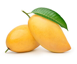 Totapuri Mango Pulp